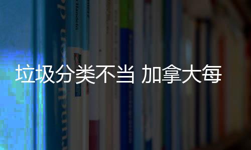不当每年垃圾拿大万元 加分类损失数百